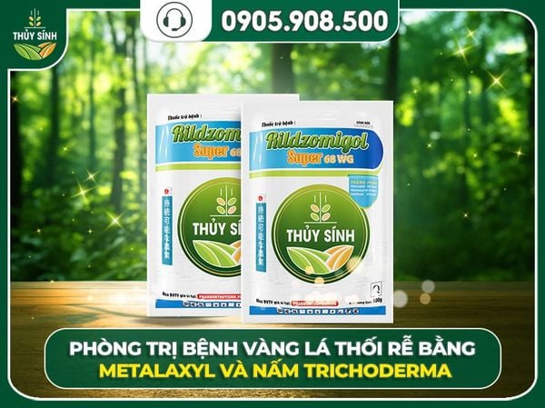 trị vàng lá thối rễ trên bưởi da xanh