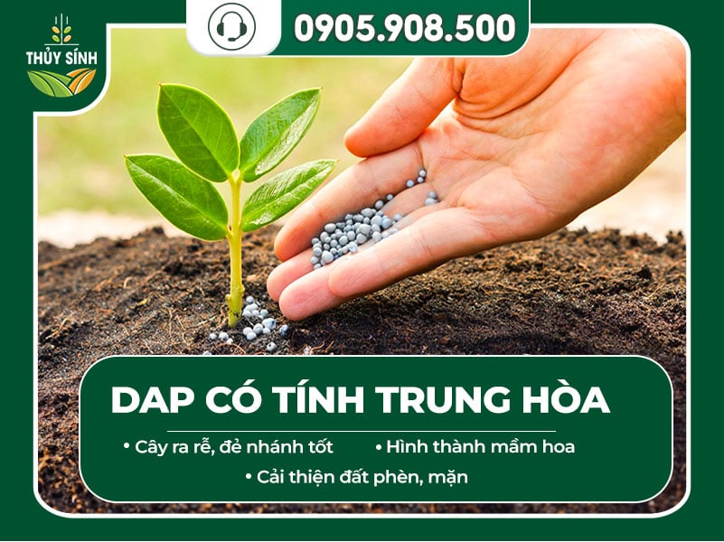 Phân DAP trung hòa pH