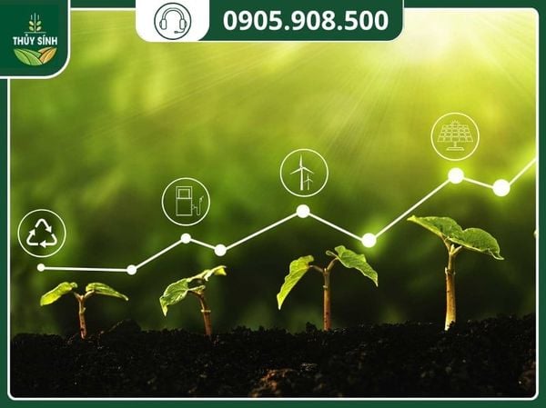 tăng khả năng giữ và cung cấp chất dinh dưỡng