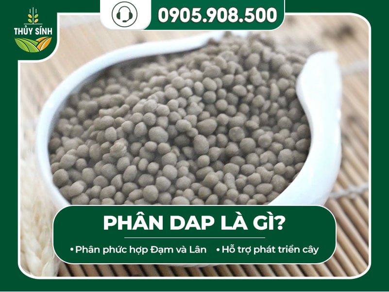 Phân DAP là loại phân phức hợp
