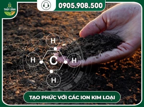 tạo phức hợp ion kim loại