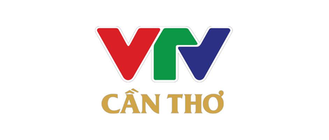 VTV cần thơ Trực tiếp bóng đá World Cup 2022 hôm nay