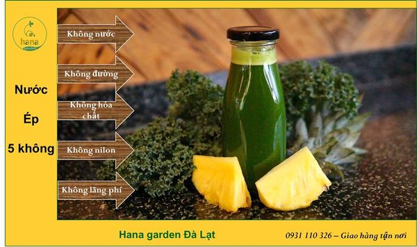 5 KHÔNG CÙNG NƯỚC ÉP HANA GARDEN