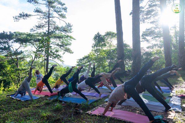 Hay mang theo thảm trải để ngồi Thiền hay tập vài động tác YOGA