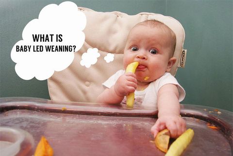 Phương pháp ăn dặm tự chỉ huy BLW– Baby led weaning