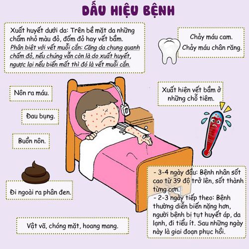SỐT XUẤT HUYẾT VÀ NHỮNG ĐIỀU CẦN BIẾT – Phòng Khám Đa Khoa MEDELAB