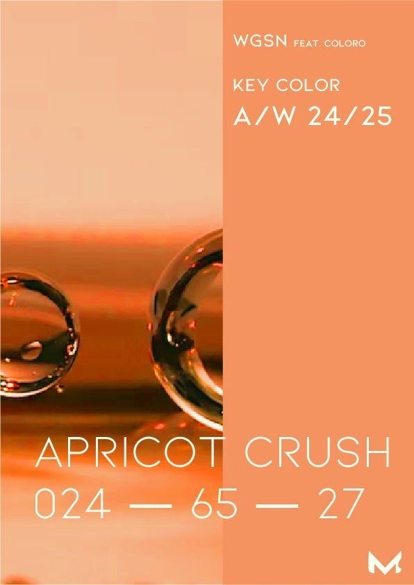 Apricot Crush - Mơ Nghiền