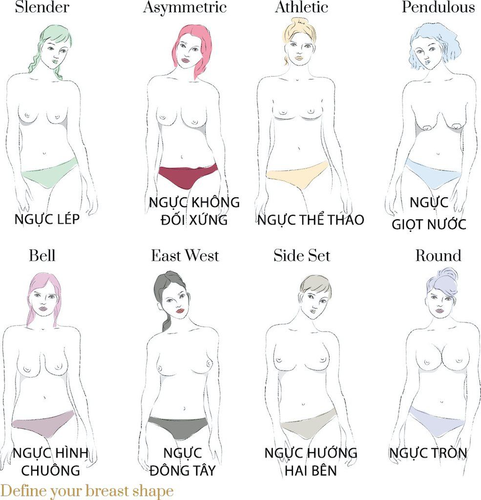 Top 8 các dáng ngực thường gặp Làm sao để có bầu ngực đẹp