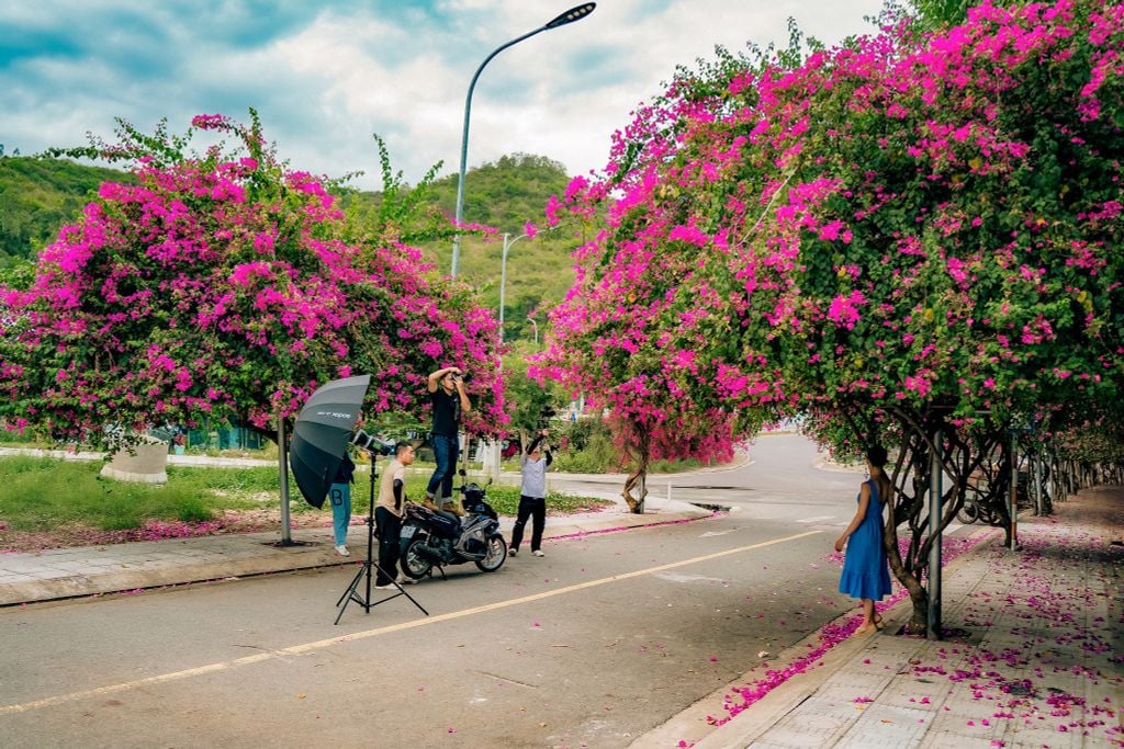 Ở xứ nhiệt đới Nha Trang | Thời trang bền vững Hity