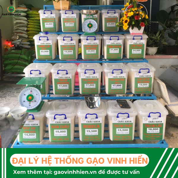 GẠO SẠCH - DINH DƯỠNG, MUA HÀNG TIỆN LỢI HƠN TẠI TP. THỦ ĐỨC - TPHCM