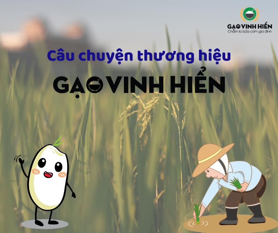 [CHUYỆN GẠO KỂ] Câu chuyện thương hiệu Gạo Vinh Hiển