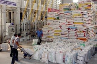 2016: Thời cơ xuất khẩu gạo