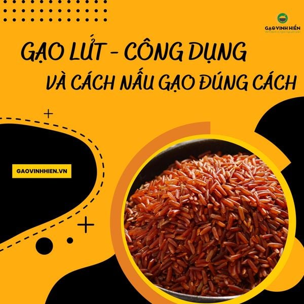 CÔNG DỤNG GẠO LỨT VÀ CÁCH NẤU GẠO LỨT NGON ĐÚNG CÁCH ÍT AI BIẾT