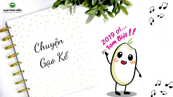 [CHUYỆN GẠO KỂ] CÂU CHUYỆN NGÀY CUỐI CÙNG NĂM 2019