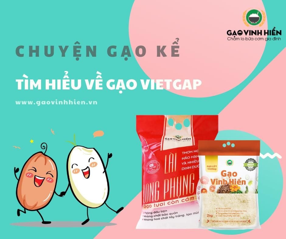 [CHUYỆN GẠO KỂ] Câu chuyện về gạo VietGAP