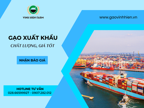 GẠO XUẤT KHẨU ĐẠT CHUẨN, GIÁ NHÀ MÁY
