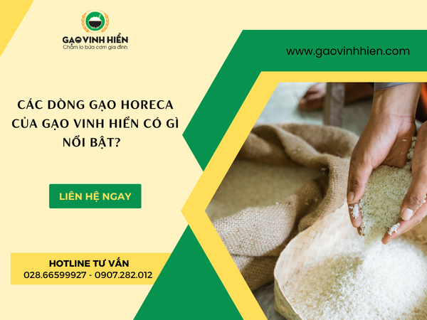 CÁC DÒNG GẠO HORECA CỦA GẠO VINH HIỂN CÓ GÌ NỔI BẬT?