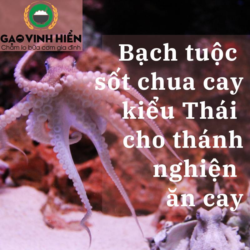 Bạch tuộc sốt chua cay kiểu Thái cho những tín đồ nghiện ăn cay