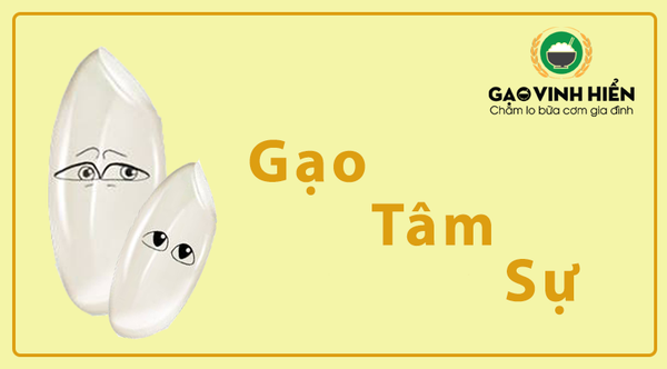 [Chuyện gạo kể] Tâm sự nhẹ chuyện Gạo Sạch - Gạo Không Sạch