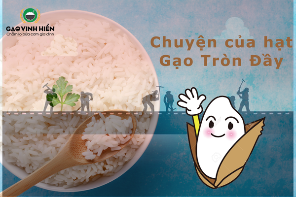 [Chuyện gạo kể] Gạo kể chuyện hạt giống lớn lên được chăm sóc như thế nào?