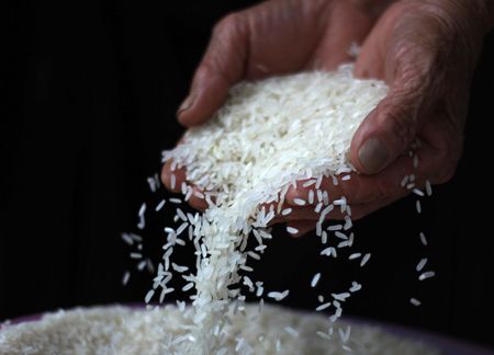 Phân biệt gạo sạch và gạo tẩm hóa chất một cách đơn giản