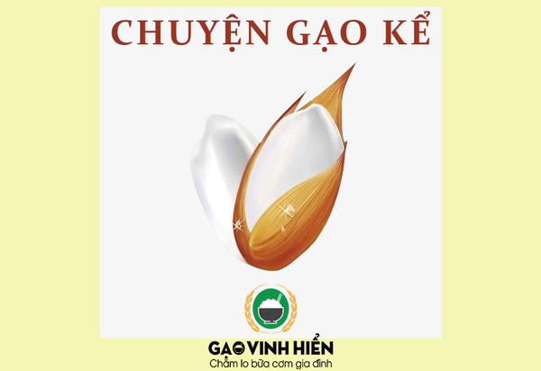 [Chuyện gạo kể] Gạo được ra đời như thế nào?