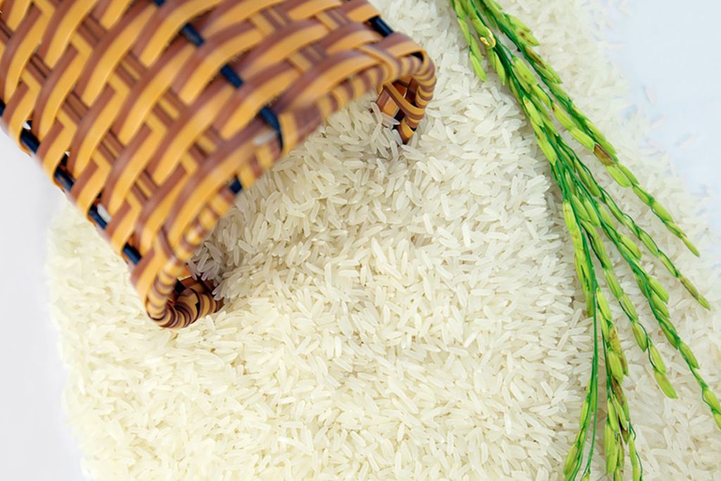 Tổng hợp một số loại gạo dẻo đang hot trên thị trường