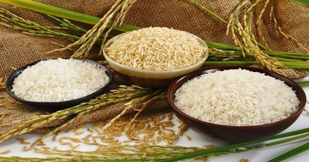 Tìm hiểu về gạo hữu cơ