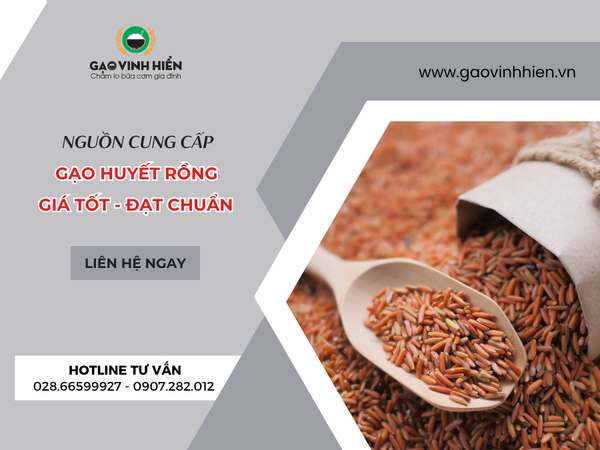 NGUỒN CUNG CẤP GẠO LỨT HUYẾT RỒNG GIÁ SỈ, UY TÍN HIỆN NAY