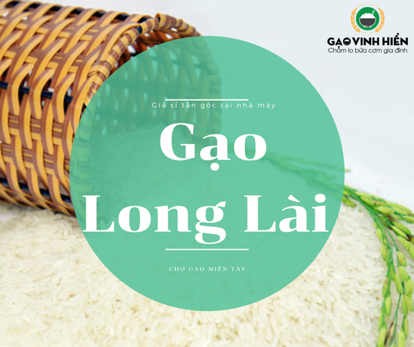 Gạo Long Lài ST21 giá tận gốc nhà máy