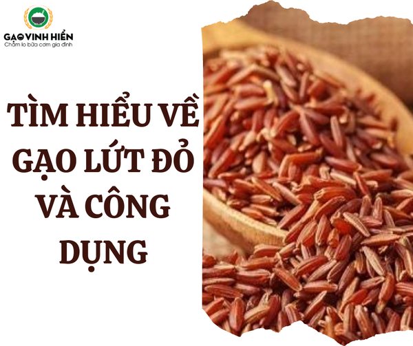 TÌM HIỂU VỀ GẠO LỨT ĐỎ VÀ CÔNG DỤNG