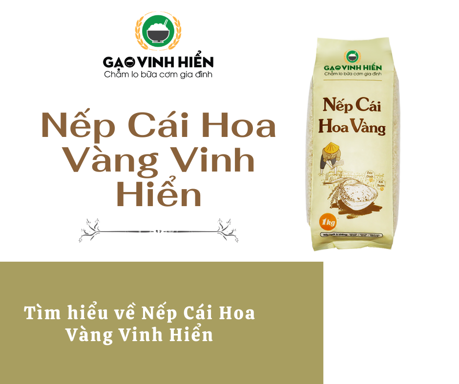 Nếp Cái Hoa Vàng Vinh Hiển có gì đặc sắc?