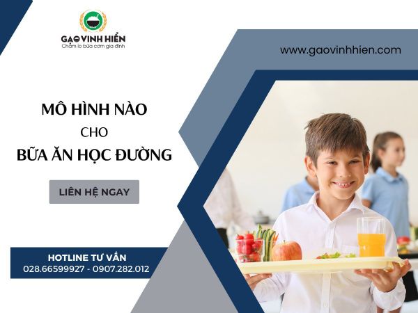 MÔ HÌNH CHO BỮA ĂN HỌC ĐƯỜNG