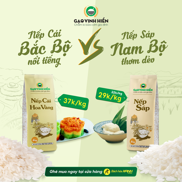 NẾP CÁI ĐẶC SẢN -NẾP SÁP THƠM DẺO, CHỌN LOẠI NÀO CHO MÓN NGON NHÀ NẤU?