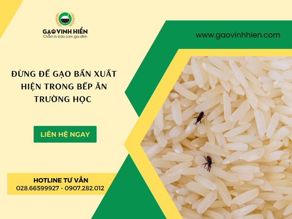 Đừng để gạo bẩn xuất hiện trong bếp ăn trường học