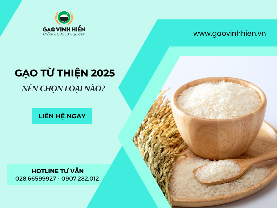 Những Loại Gạo Chuyên Làm Từ Thiện 2025 - Gạo Từ Thiện Giá Sỉ