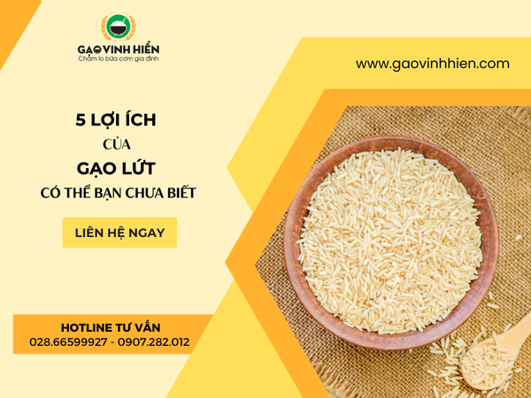 5 LỢI ÍCH CỦA GẠO LỨT CÓ THỂ BẠN CHƯA BIẾT