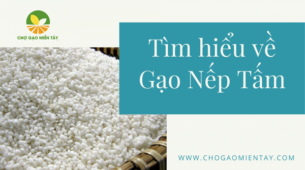 Tìm hiểu về gạo Nếp Tấm