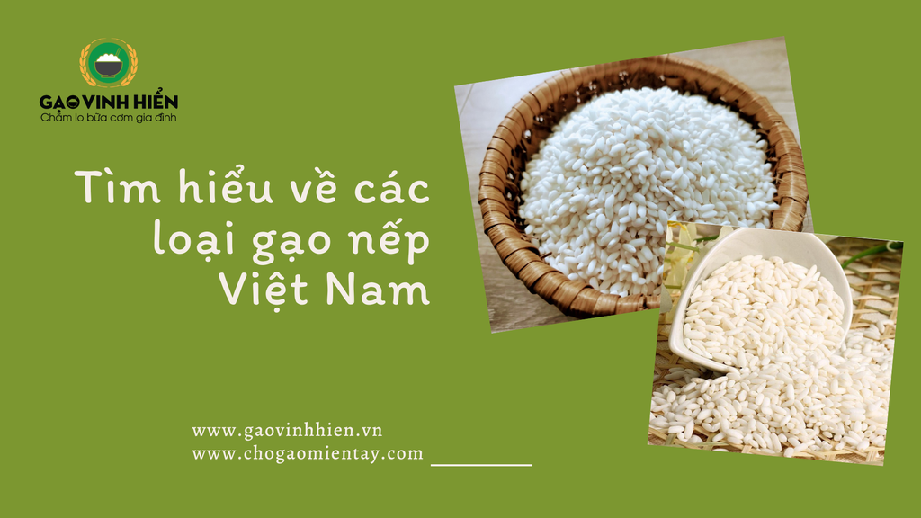 Tìm hiểu về các loại gạo nếp ngon đất Việt