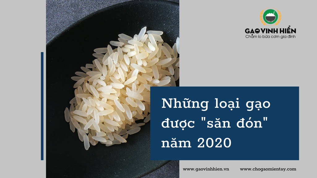 Những loại gạo nào được người tiêu dùng 