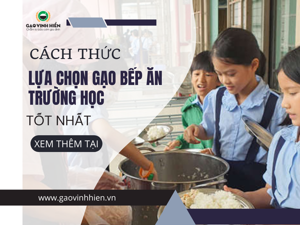 Cách thức chọn lựa dịch vụ gạo bếp ăn trường học tốt nhất