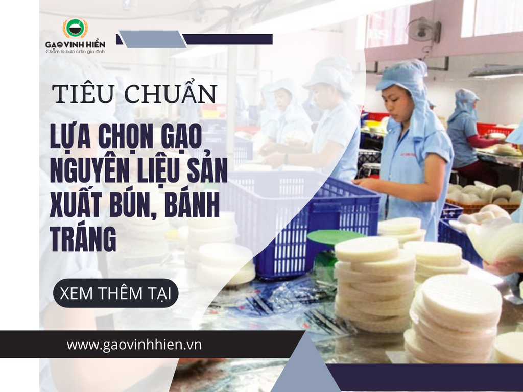 Các loại gạo thường sử dụng trong sản xuất bún, bánh tráng, hủ tiếu, sợi phở