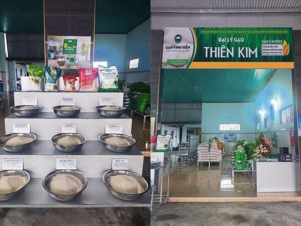 Đại lý gạo Vinh Hiển mới khu vực Lâm Đồng