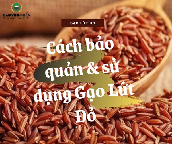 bảo quản gạo lứt đỏ