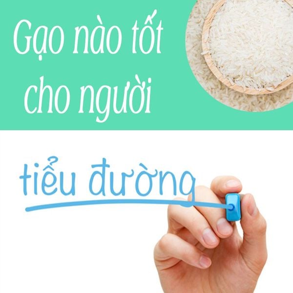 Gạo nào tốt cho người tiểu đường