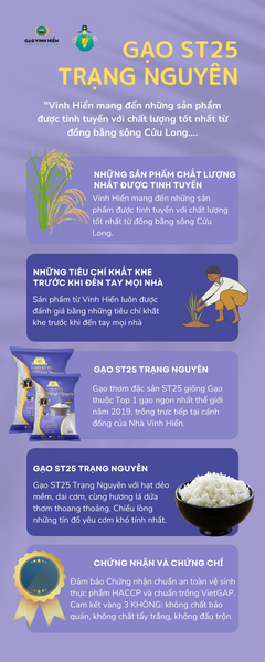 gaost25 trạng nguyên - gạo vinh hiển