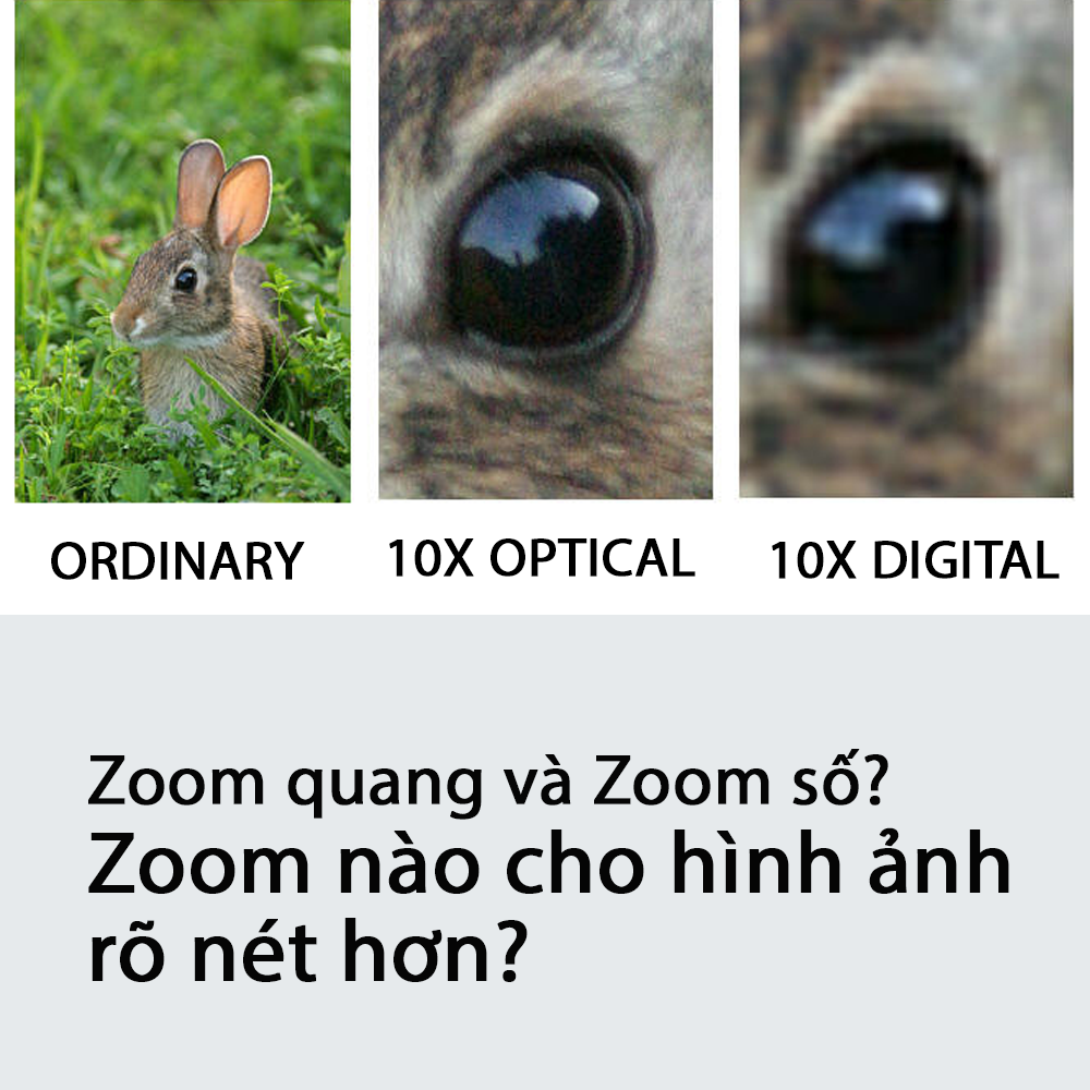 Zoom quang học là gì? Zoom số là gì? Zoom quang và zoom số, zoom nào cho hình ảnh rõ hơn?