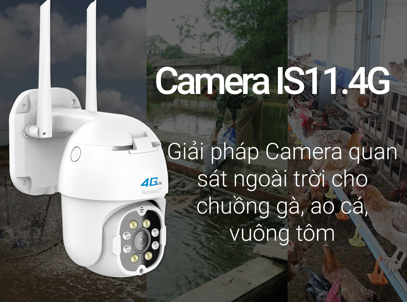 camera-quan-sat-chuong-ga-ao-ca-vuong-tom-is11