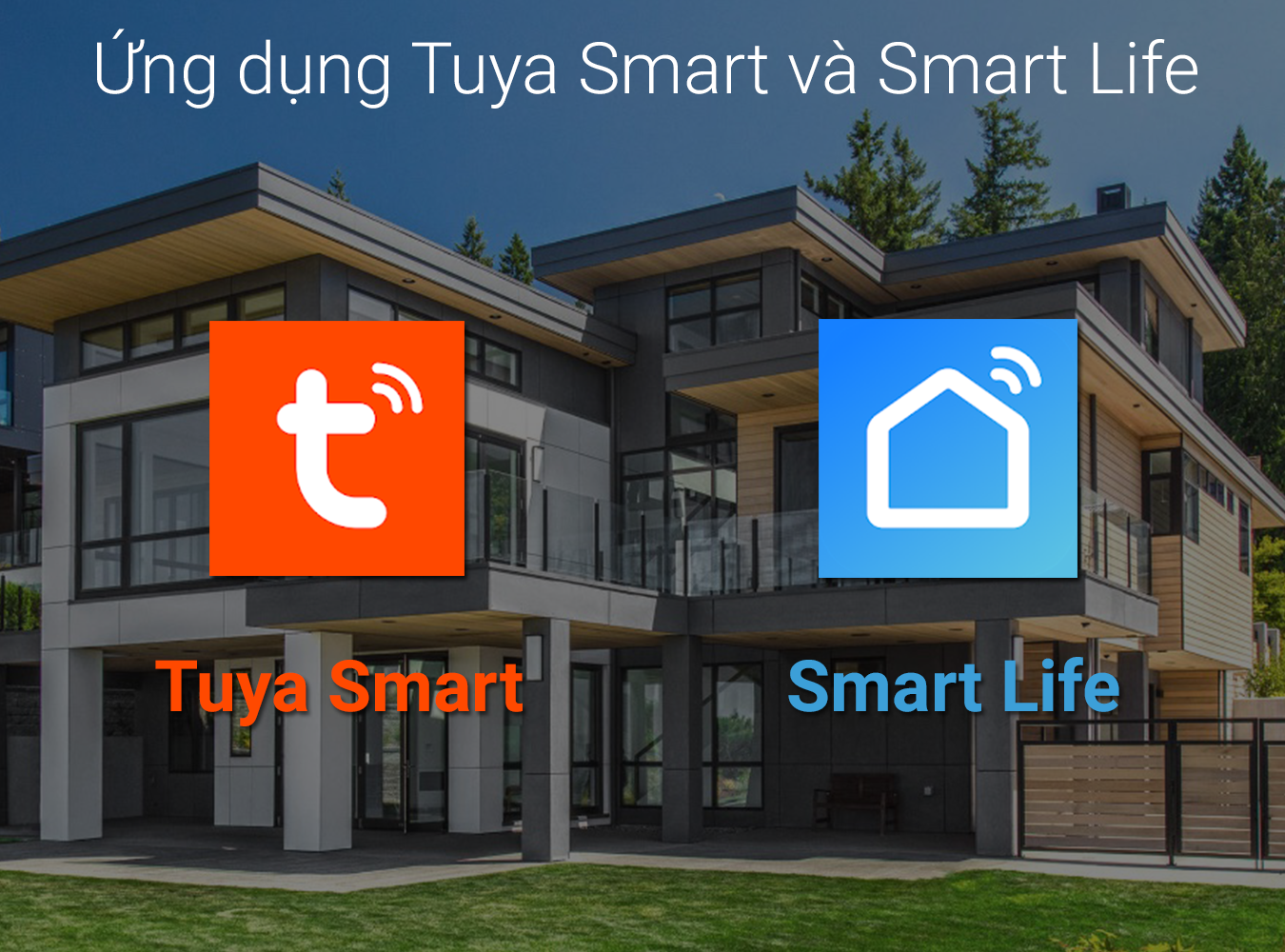 Ứng dụng Tuya Smart và Smart Life có gì khác nhau và giống nhau?