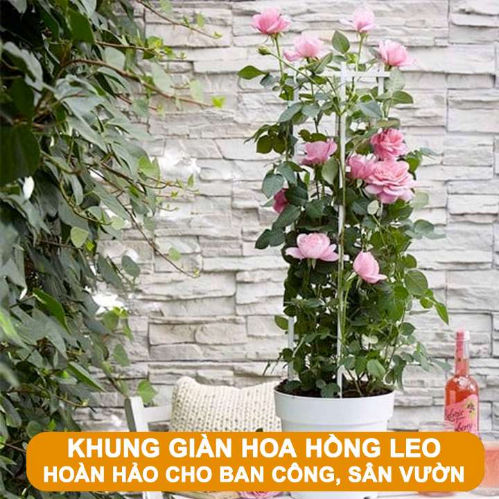 Khung giàn hoa hồng leo: Trang trí ban công, sân vườn đẹp
